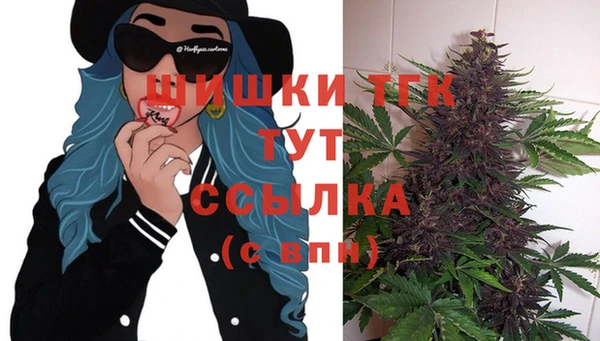 гидра Армянск