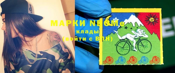 ПСИЛОЦИБИНОВЫЕ ГРИБЫ Баксан